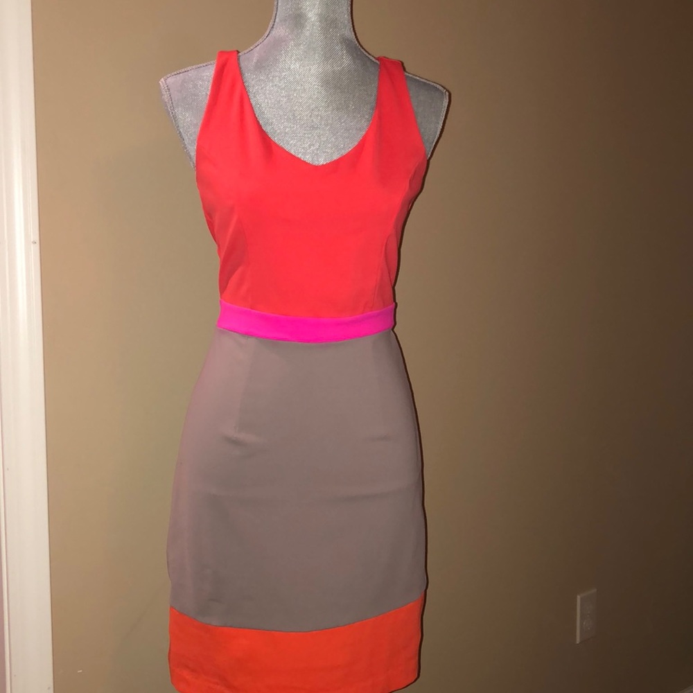 NWOT Cynthia Rowly Stretch Sheath Dress